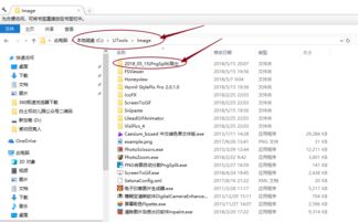 顺心整合系统 教师专属精品绿色软件的典范